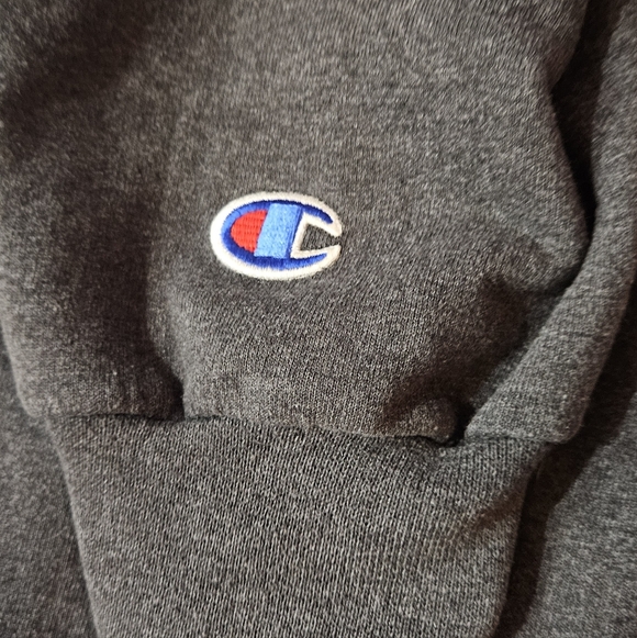 FLORIDA STATE UNIV Champion Hoodie Size Large - Gray Light Pink White - Picture 5 of 6